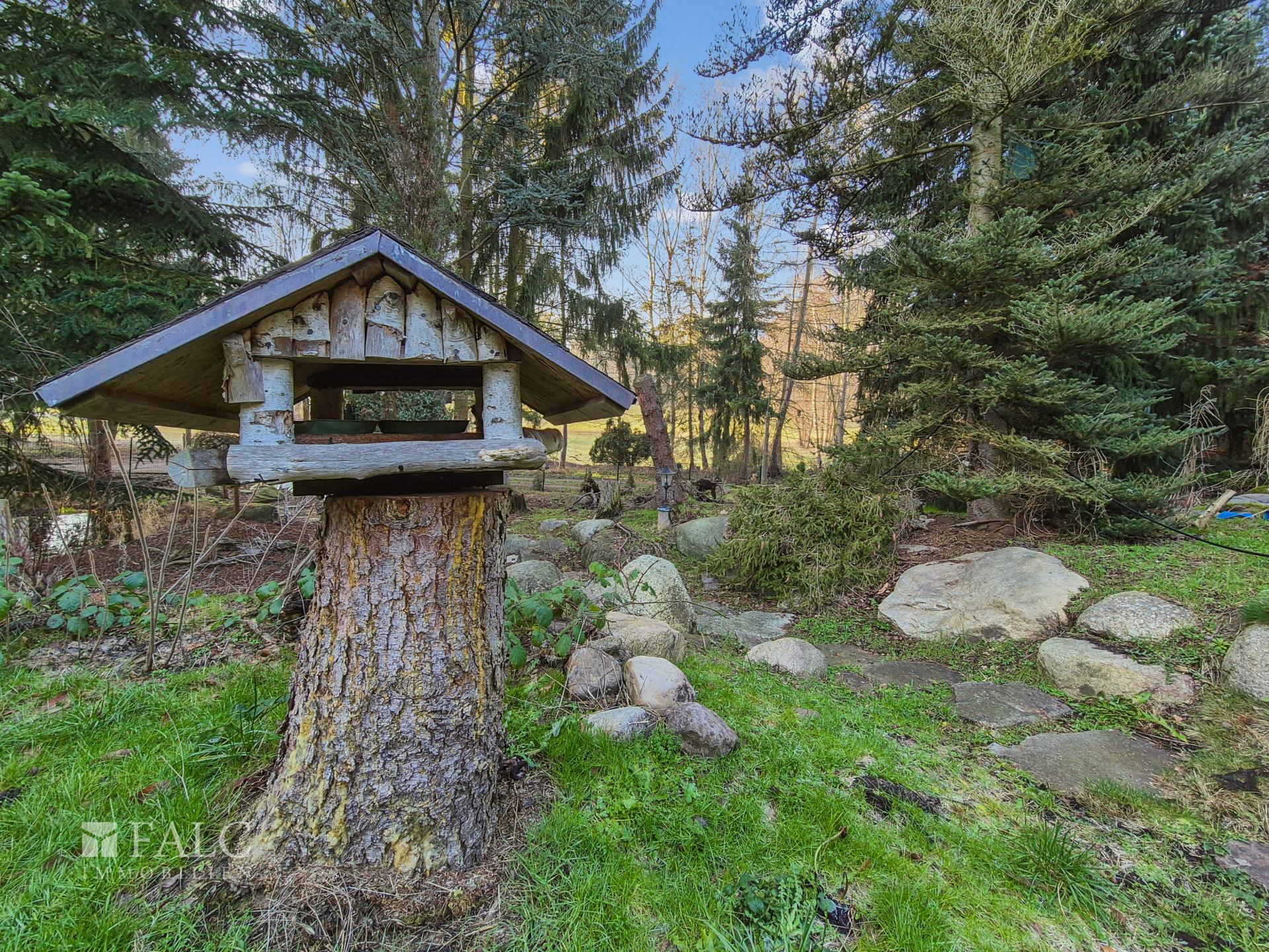 Garten mit Vogelhaus